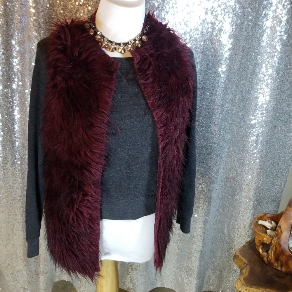 Adorable Red Vest!
